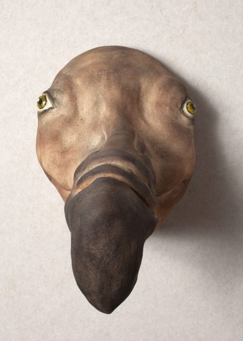 Dodo