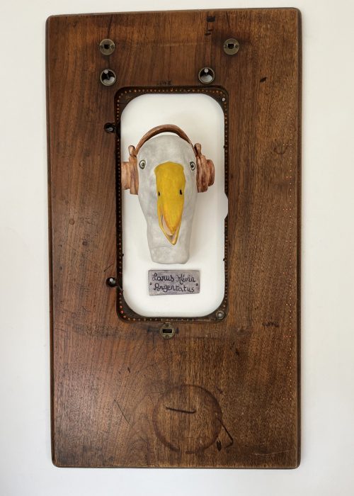 KEVIN 1